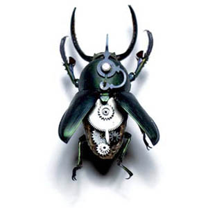 beetle