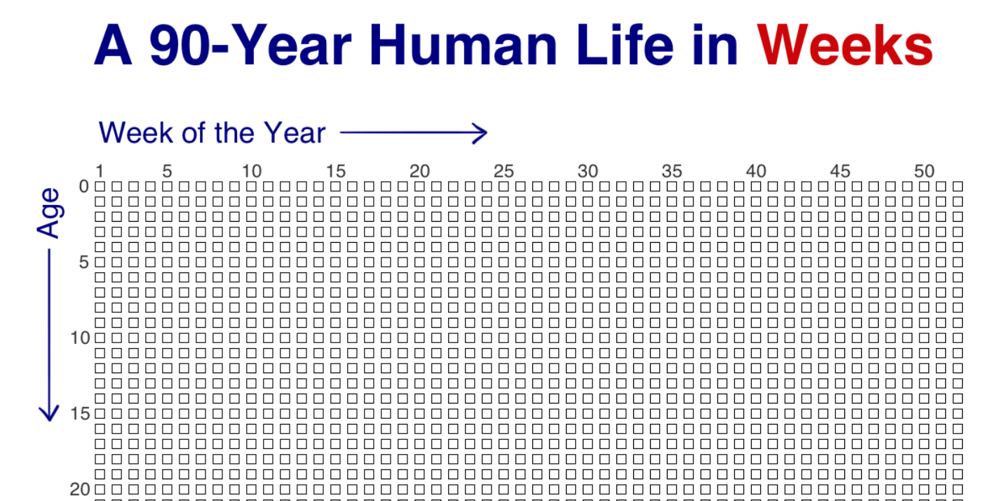 Tim's life in weeks